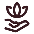 Feature icon